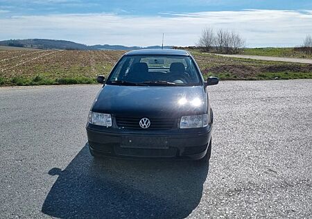 VW Polo Volkswagen 6n2 Edition Klima, vieles neu