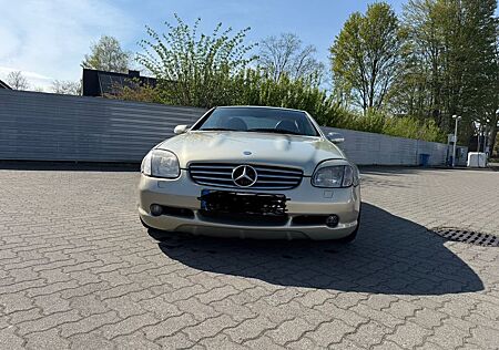 Mercedes-Benz SLK 320 AMG 32 Bose Cabrio V6