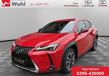 Lexus UX 250h Style Edition KEYLESS PDC SHZ ACC LED