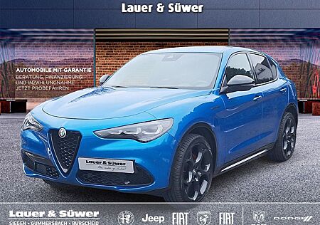 Alfa Romeo Stelvio Competizione Diesel 209 PS AT Allradantrieb*LED*