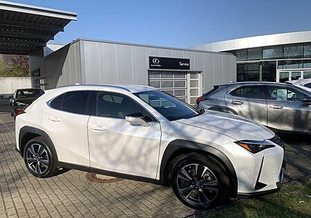Lexus UX 250h, Style Edition, Safety System, Navi, SHZ