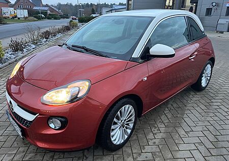 Opel Adam JAM 1.4 LPG,Leder,Sternenhimmel,So/Wi-Räder