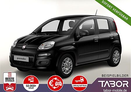 Fiat Panda MHEV 70 5"-DAB Temp PDC DigCo LaneA 5-Sitz
