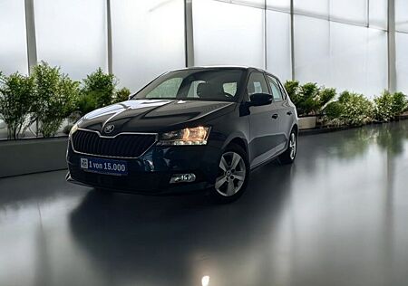 Skoda Fabia 1.0 TSI Ambition OPF - AHK/ Sitzh./ PDC