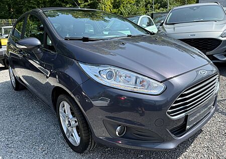 Ford Fiesta 1.6 TDCI Titanium Klimaaut,Leder,Alu,PDC