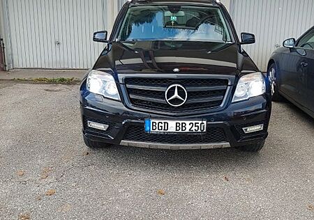 Mercedes-Benz GLK 250 CDI 4MATIC BlueEFFICIENCY -