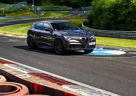 Alfa Romeo Stelvio 2.9 Bi-T. V6 375kW Quadrifoglio AT8-...