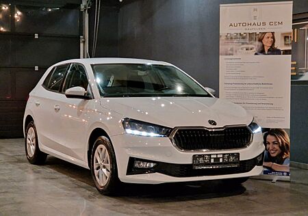 Skoda Fabia 1.0 TSI*Kofferraumausbau mit Ladebordwand*