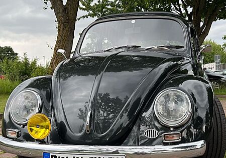 VW Käfer Volkswagen