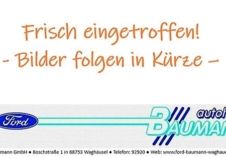 Ford EcoSport Titanium*Navi*Kamera*17" LM-Felgen*