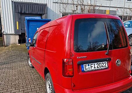 VW Caddy Volkswagen 2,0TDI 75kW Kasten Maxi kein-mietfahrzeug