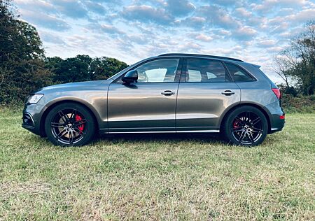 Audi SQ5 3.0 TDI competition tiptronic quattro Wagner