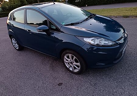 Ford Fiesta Gepflegter