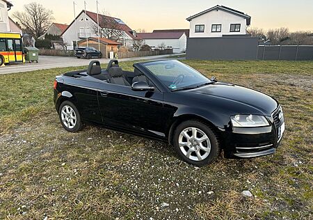 Audi A3 1.6 Ambition Cabriolet Ambition