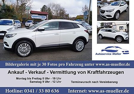 Opel Grandland X Grandland 1,6 Hybrid Kamera-Spur-Navi-Carplay-VZ
