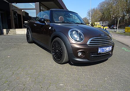 Mini Cooper Cabrio LEDER BRAUN
