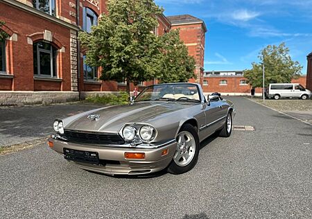 Jaguar XJS 4.0 Convertible 2+2 Memorysitze Arden