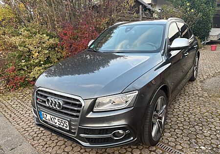 Audi SQ5 - Kamera, Raute, Pano, AHK - Letzte Chance