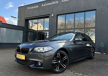 BMW 520d 5 Touring xDrive M Sport*COCKPIT*PANO*LEDER