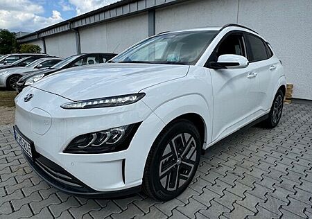 Hyundai Kona Trend Elektro Navi Asisstenzpaket Glasdach