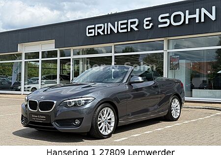 BMW 218i Cabrio Advantage,M Interieur,Shz.3,49%