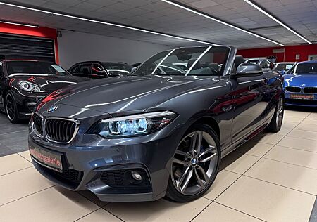 BMW 225d Cabrio M Sport Driving Navi Prof.