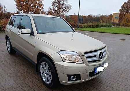 Mercedes-Benz GLK 220 CDI BlueEFFICIENCY -