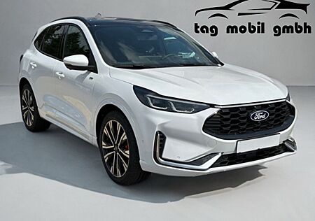 Ford Kuga ST-Line X *Panorama*LMF20"*Technologiep.*