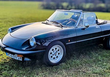 Alfa Romeo Spider