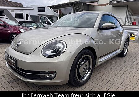 VW Beetle Volkswagen Lim. Cup // 1.HAND // SITZHEIZ. // SH TOP