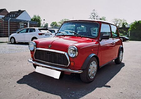 Mini 1000 Mayfaur