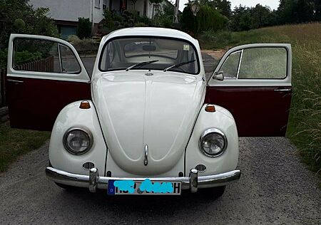 VW Käfer Volkswagen