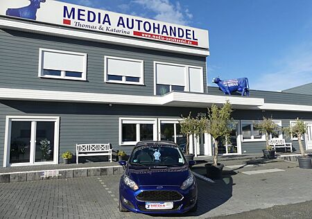 Ford Fiesta Celebration, *SITZHEIZUNG*