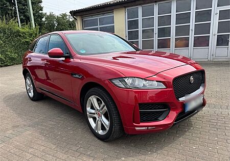 Jaguar F-Pace gebraucht kaufen Jaguar F-Pace 30d AWD R-Sport Automatik R-Sport