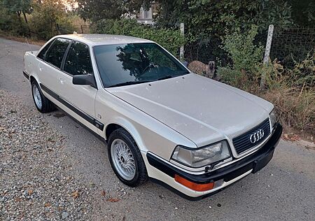 Audi V8 gebraucht kaufen Audi V8