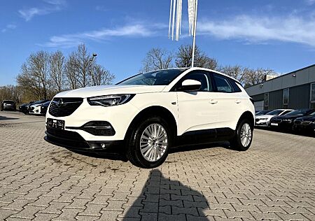 Opel Grandland X Grandland 1.2 Turbo Business Edition Bi-LED Navi