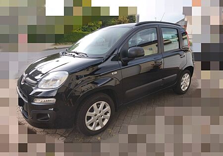 Fiat Panda 69 PS sehr gepflegt / regelmäßig Insp.