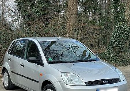 Ford Fiesta 1,3 44 kW Ambiente Ambiente