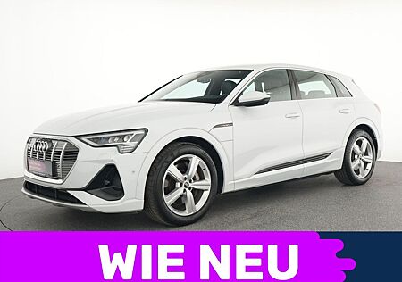 Audi e-tron 50 S-Line Navi|Kamera|LED|SHZ|ACC|PDC