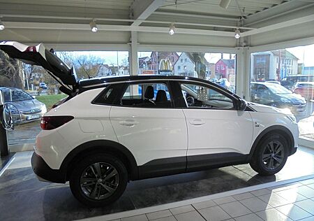 Opel Grandland X Grandland 2020+Winter-Paket+Kamera