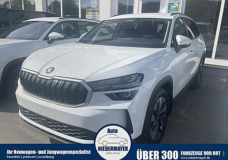Skoda Kodiaq TDI DSG 4x4 Selection, Standheizung, AHK,