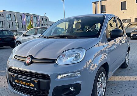 Fiat Panda Base/2021/1HD/Unfallfrei