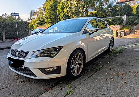 Seat Leon FR - 8-Fach bereift