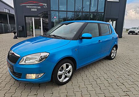 Skoda Fabia Cool Edition,Klima,8x bereift