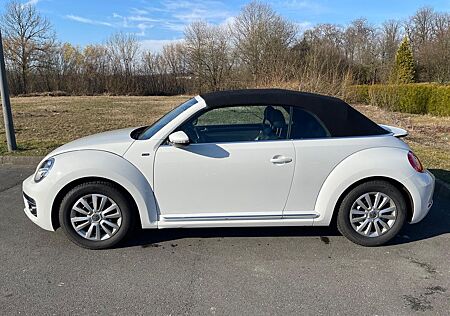 VW Beetle Volkswagen 2.0 TDI BMT ALLSTAR Cabriolet ALLSTAR
