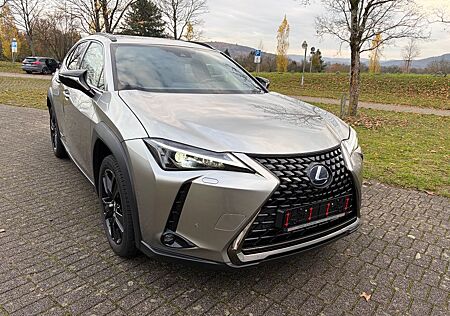 Lexus UX 250h Luxury Line Luxury Line