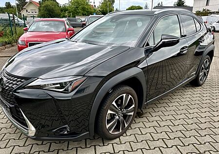 Lexus UX 250h Style