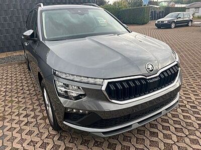 Skoda Kamiq Selection,AHK,5JGar,WP,Aluf.PDC,Klimaau