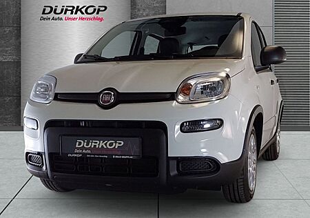 Fiat Panda Pandina 1.0 GSE Mild Hybrid DAB Spurhaltea