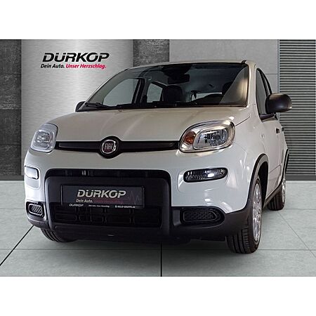 Fiat Panda leasen
